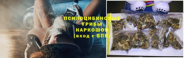 индика Алексеевка