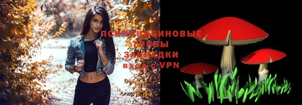 индика Алексеевка