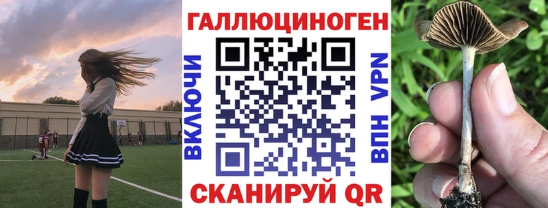 Галлюциногенные грибы ЛСД даркнет сайт Андреаполь